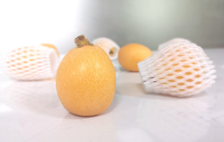 俏萌果 應季水果