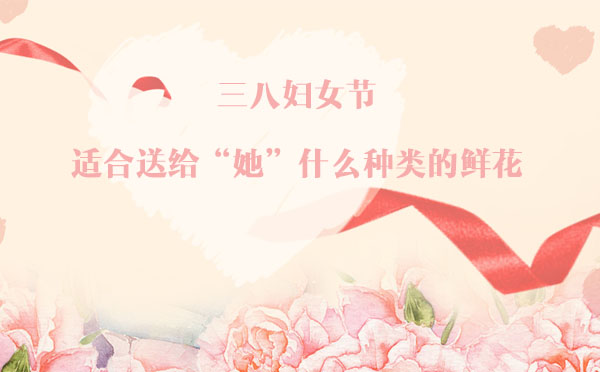 三八婦女節，適合送給“她”什么種類的鮮花？
